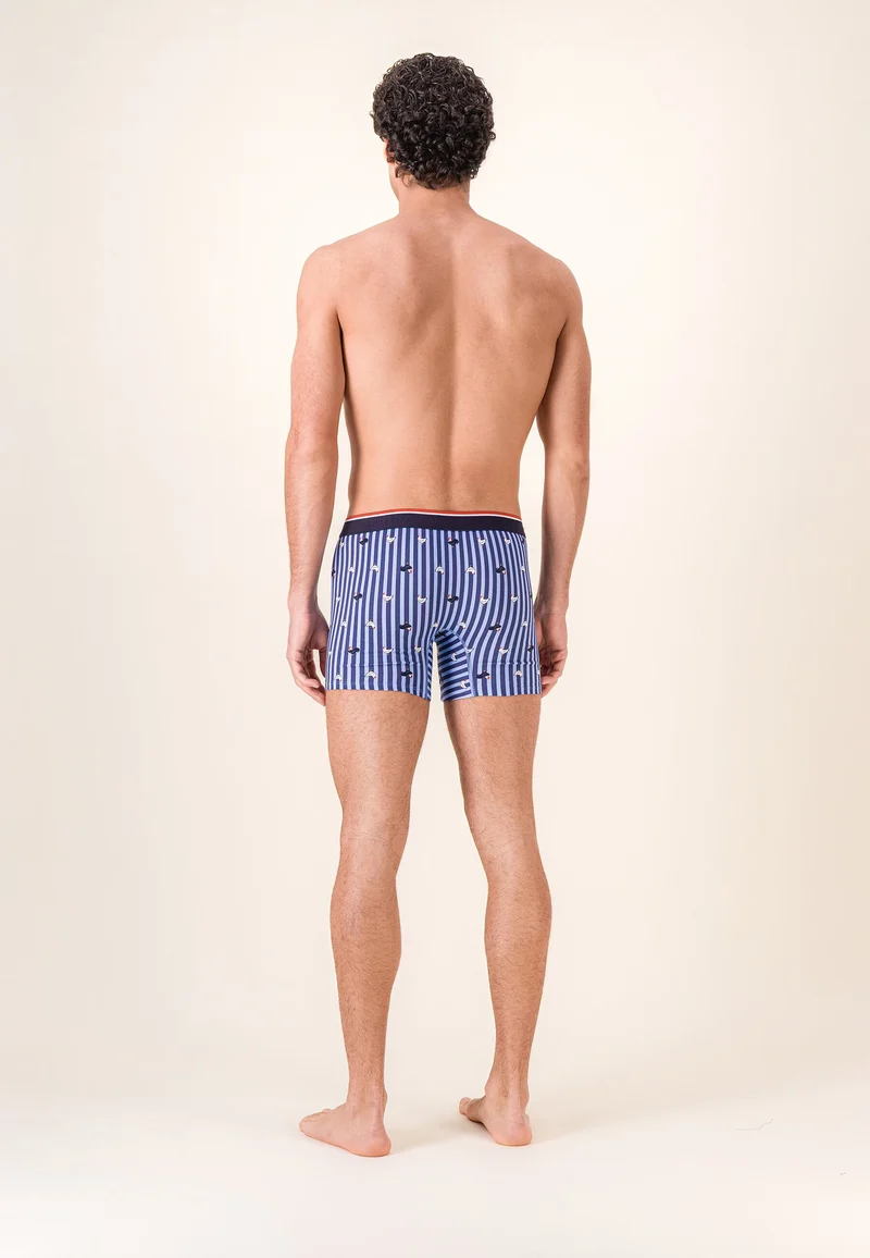 Lot de 3 boxers longs en coton - Boxers Longs Rayures Coq Bleu Ciel Chiné Marine