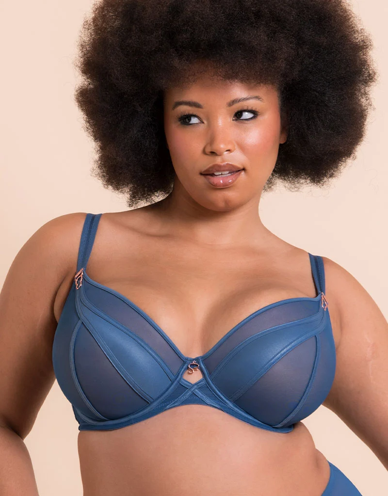 Scantilly Suspense Plunge Bra French Blue