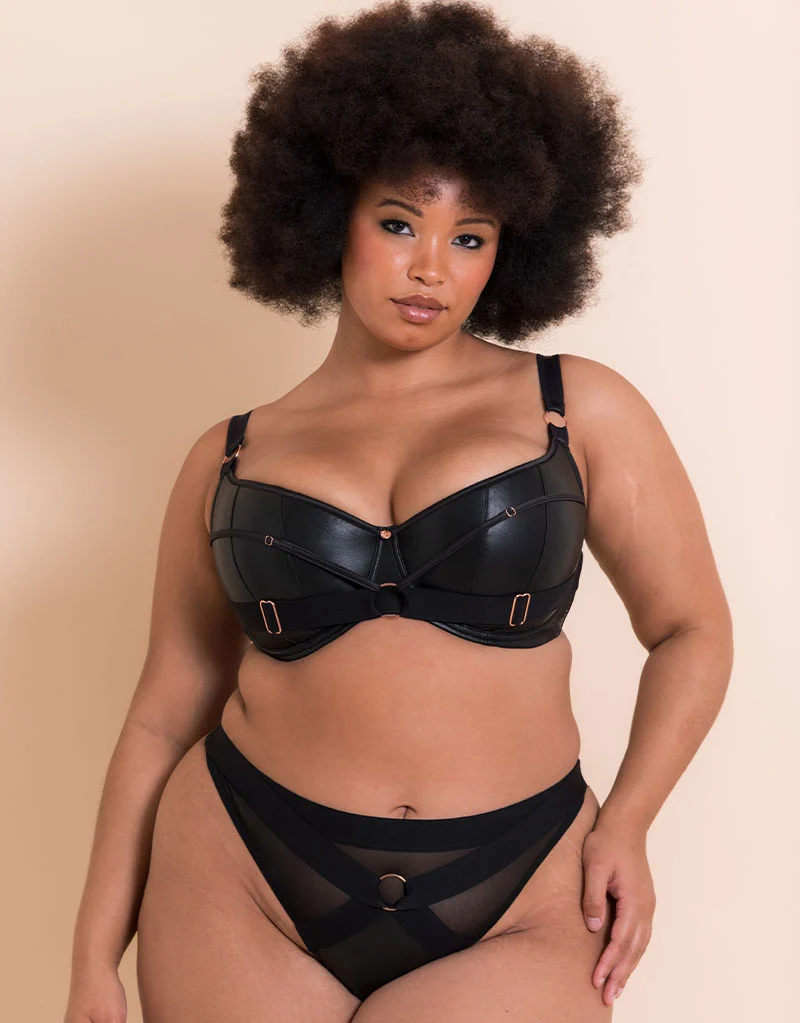 Scantilly Harnessed Thong Black