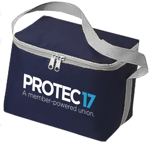 PROTEC17 Navy Cooler Bag