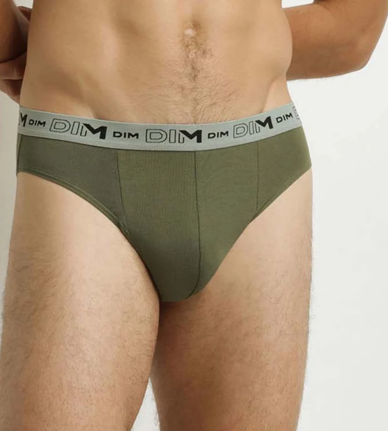 Lot de 3 slips homme Bleu Gris Vert Coton Stretch Bio