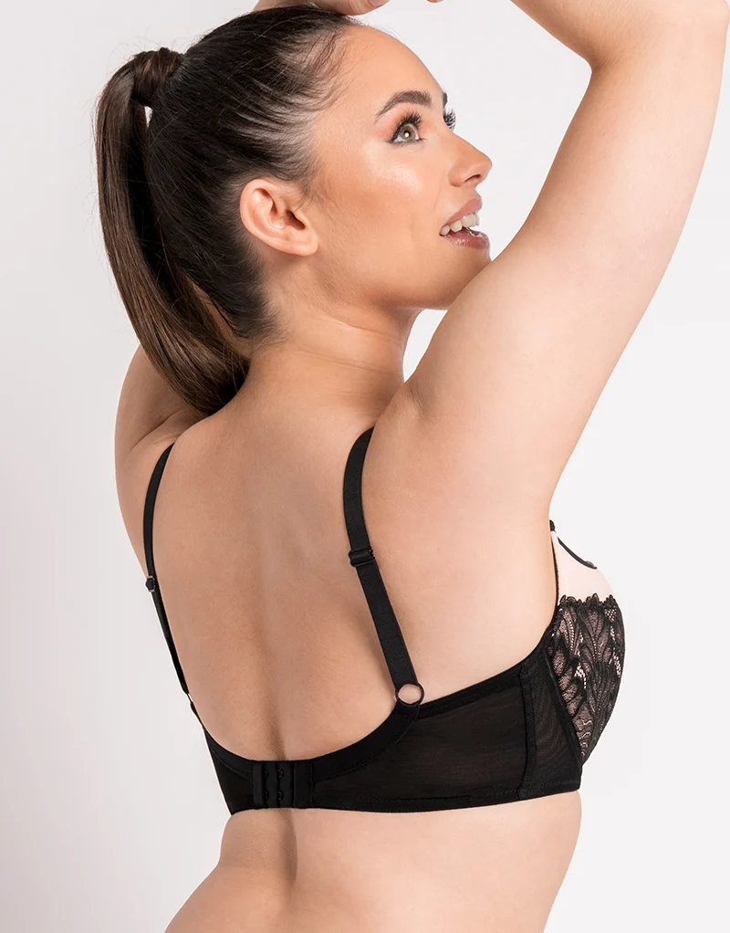 Curvy Kate Emboost Padded Balcony Bra Black/Pink