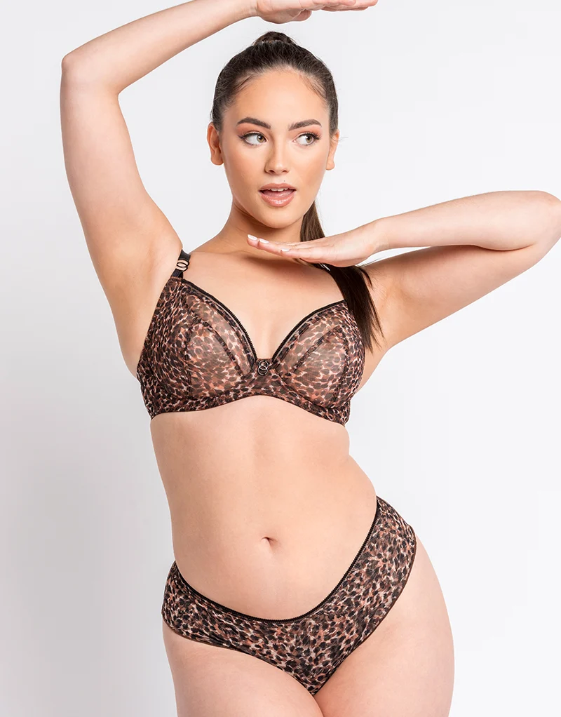 Curvy Kate Lifestyle Plunge Bra Animal Print